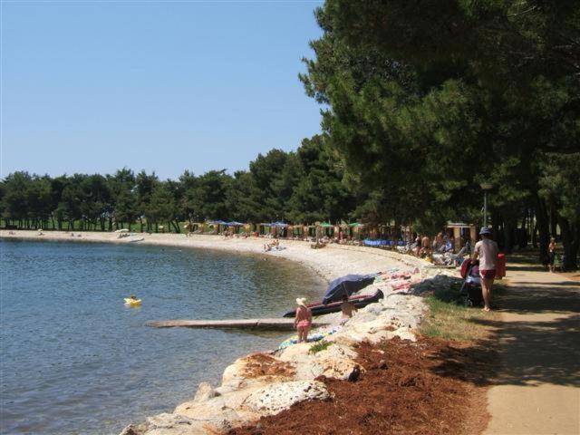Apartman Oliver Novigrad Istria Exteriör bild